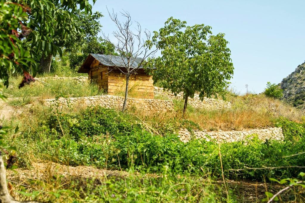 Molino Del Machero Пуебла де Дон Фадрике Екстериор снимка